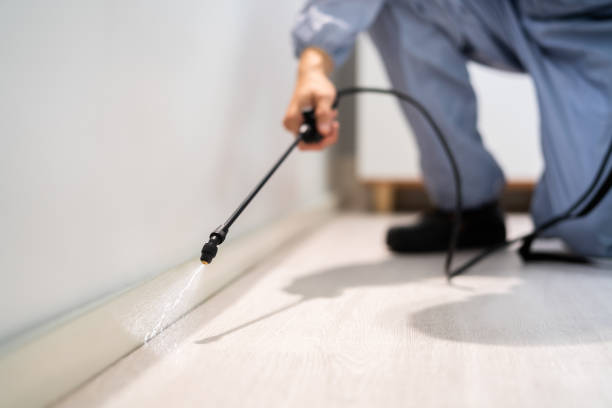 Licensed Termite Control service in Swainsboro, GA - Show Me Pest Control