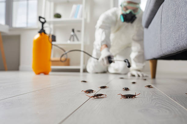 Commercial Kitchen Cockroach Control in Swainsboro